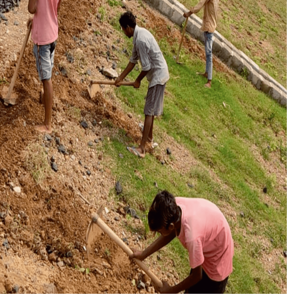 Read more about the article Providing Turfing/Planting with Jute Geo-Textile (JGT) Major Bridge, KRV-CJM section, Vijayawada