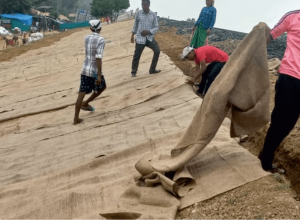 Read more about the article Providing Turfing/Planting with Jute Geo-Textile (JGT) Loliya site in Ahmedabad