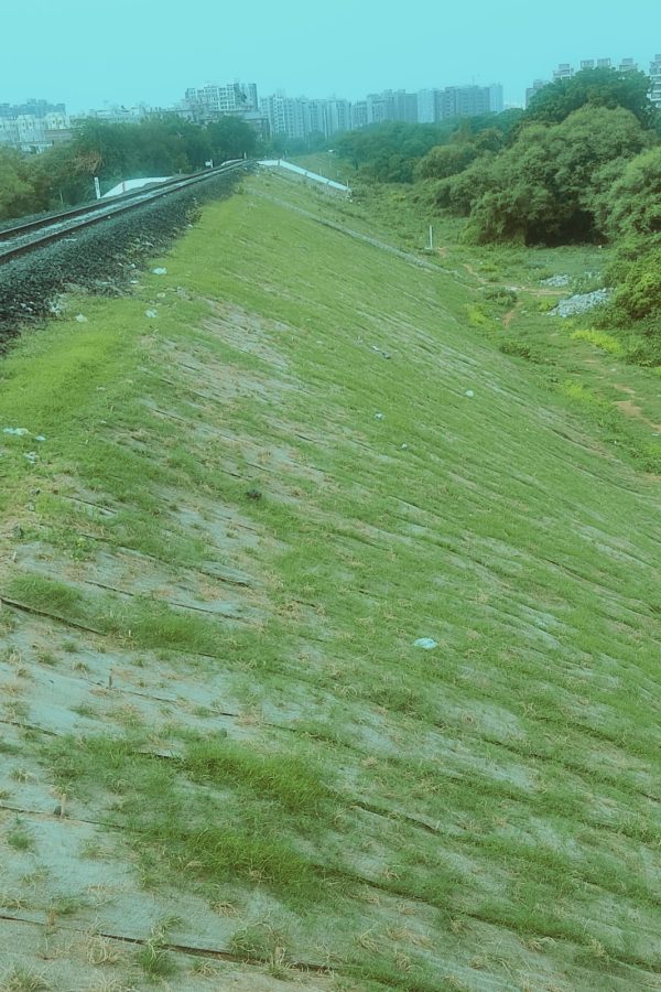 WhatsApp Image 2024-03-28 at 4.30.10 PM