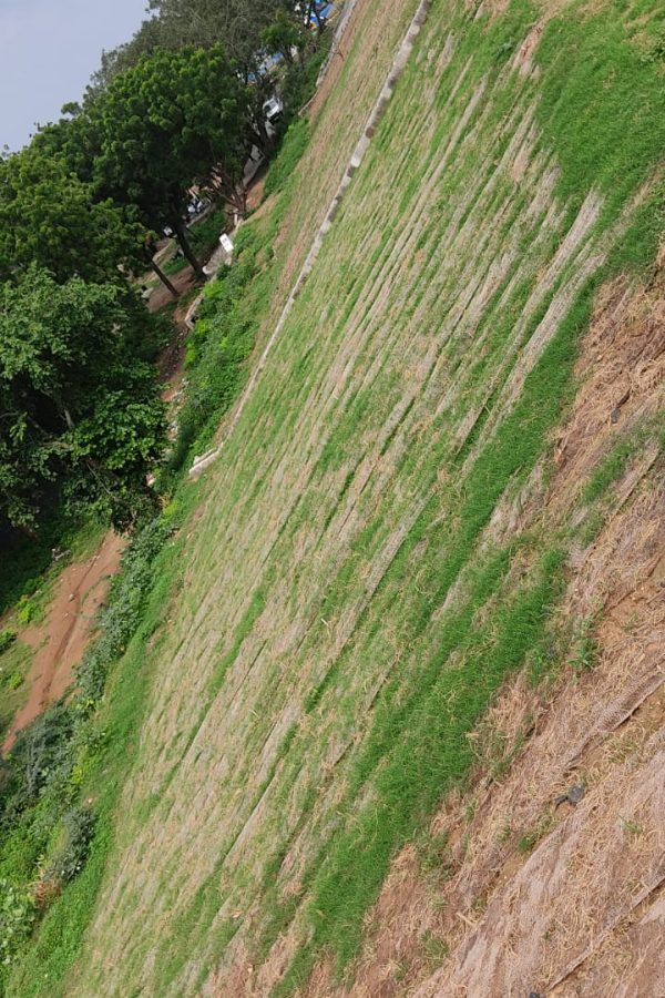 WhatsApp Image 2024-03-28 at 4.30.43 PM