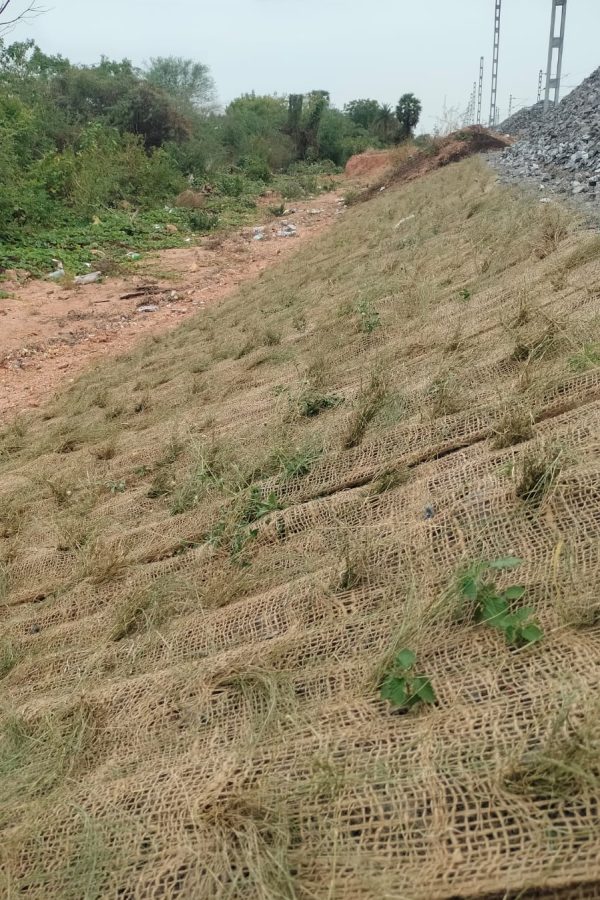 WhatsApp Image 2024-03-28 at 4.32.12 PM